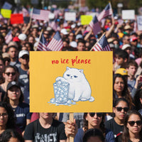 Abolish Ice Protest Protest Sign Subtle FDT Cat Meme No Ice Please
