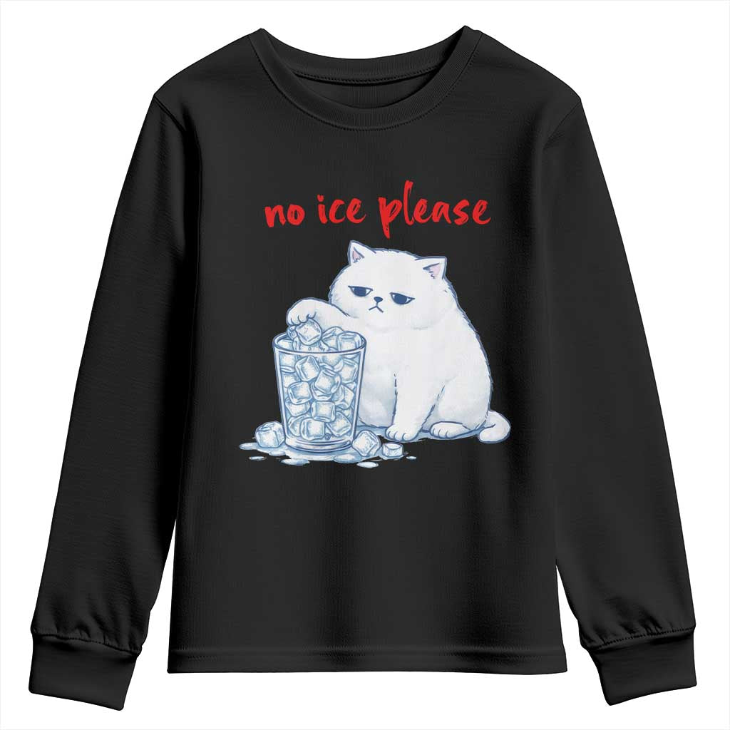 Abolish Ice Protest Youth Sweatshirt Subtle FDT Cat Meme No Ice Please