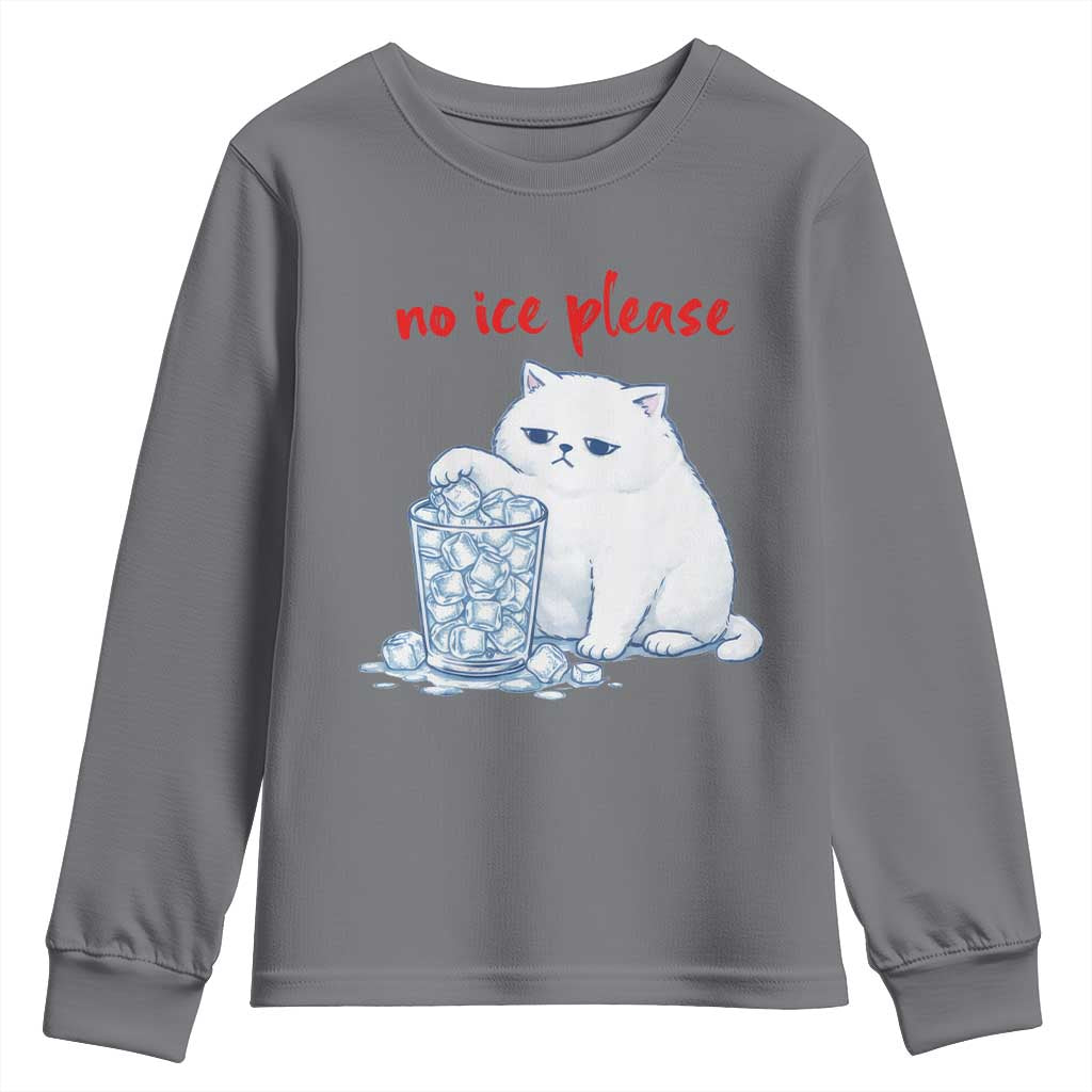 Abolish Ice Protest Youth Sweatshirt Subtle FDT Cat Meme No Ice Please