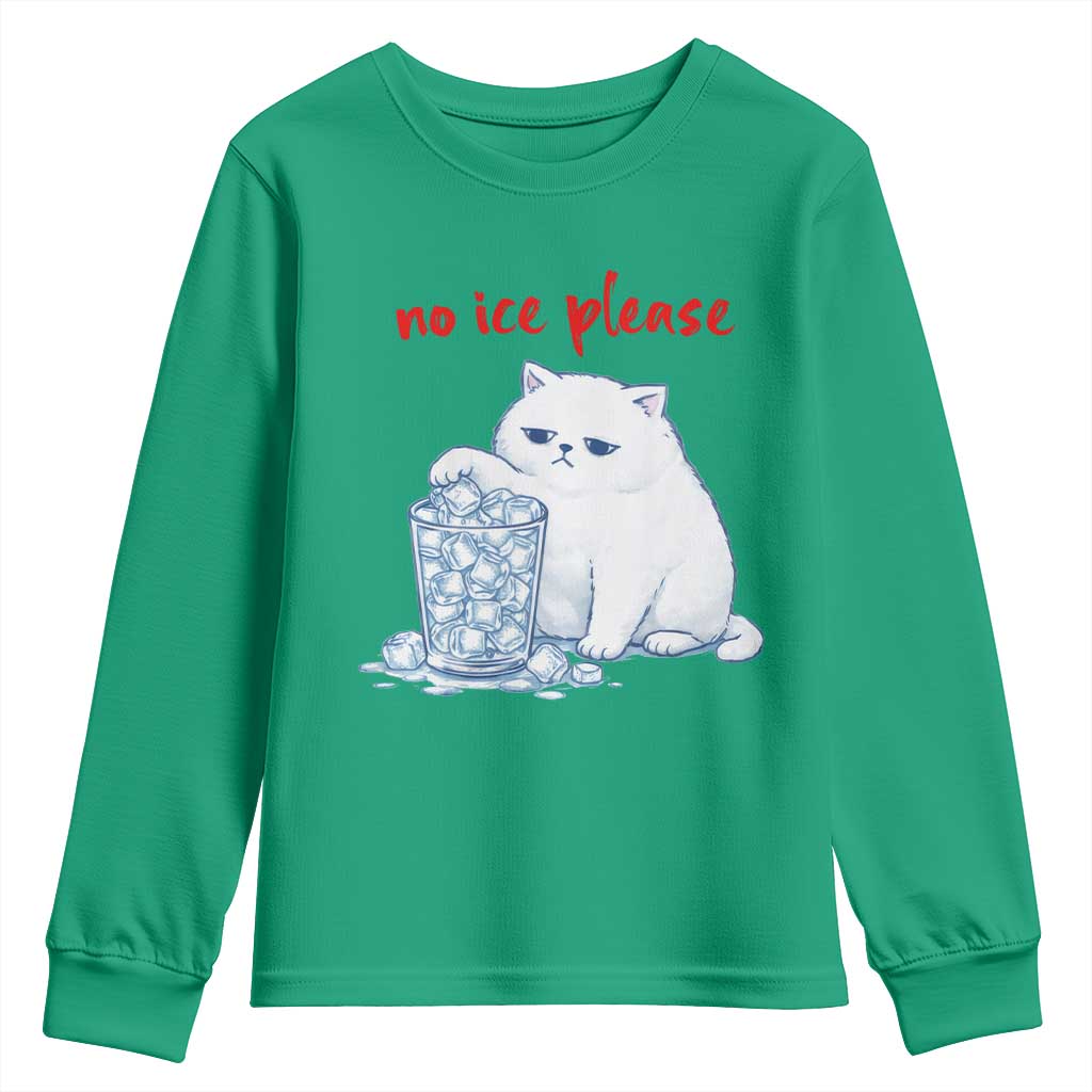 Abolish Ice Protest Youth Sweatshirt Subtle FDT Cat Meme No Ice Please