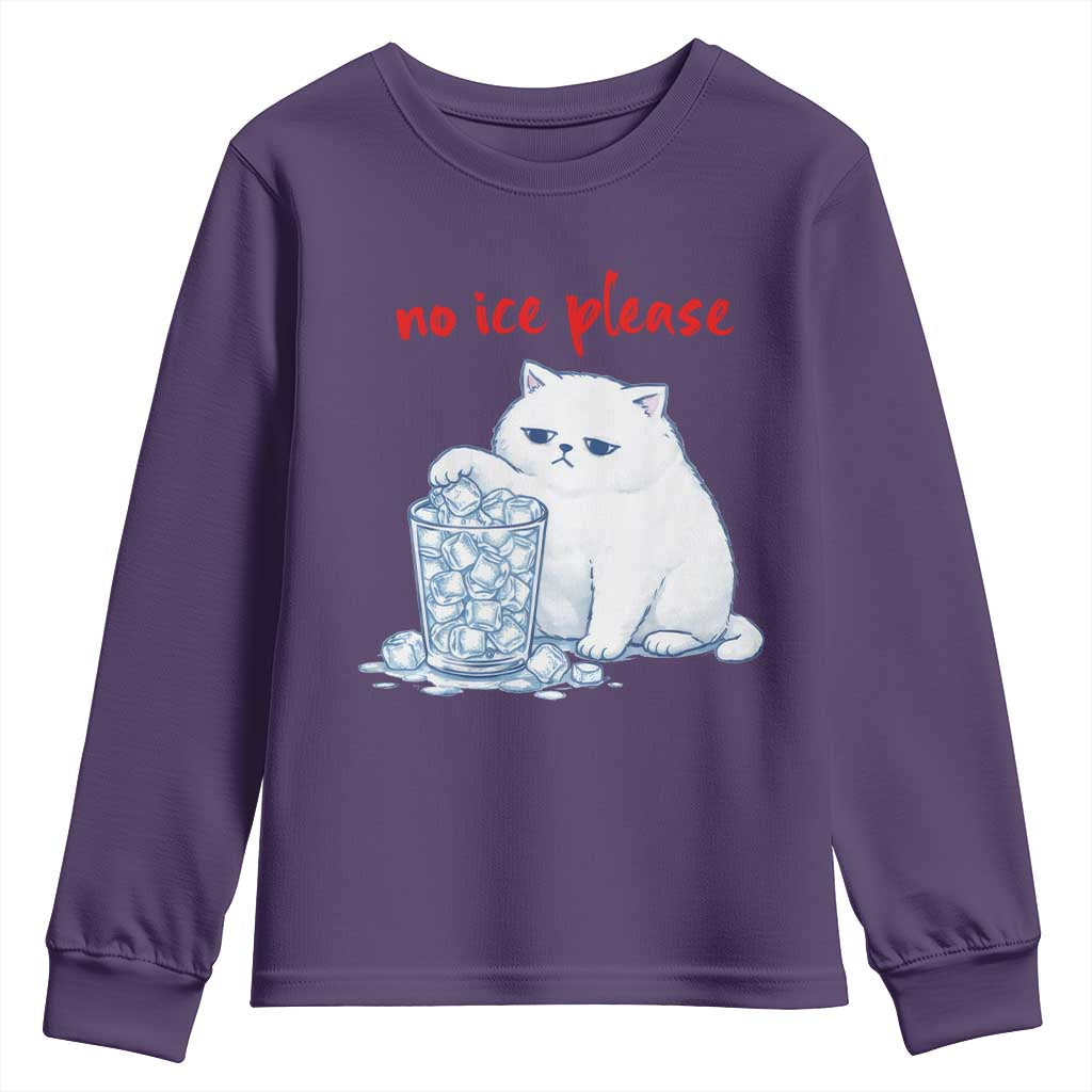 Abolish Ice Protest Youth Sweatshirt Subtle FDT Cat Meme No Ice Please