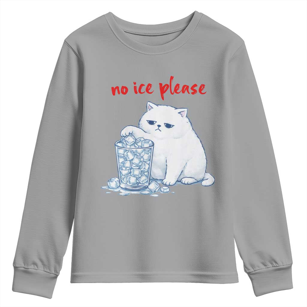 Abolish Ice Protest Youth Sweatshirt Subtle FDT Cat Meme No Ice Please