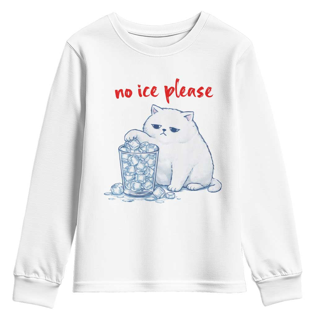 Abolish Ice Protest Youth Sweatshirt Subtle FDT Cat Meme No Ice Please