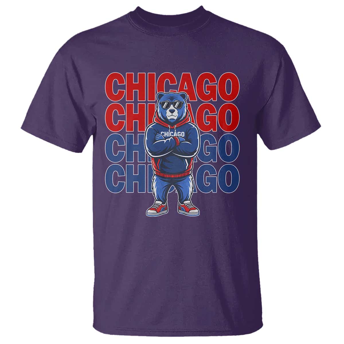 Vintage Chicago Pride Graphic T Shirt US State Sports Fan Baseball Lover