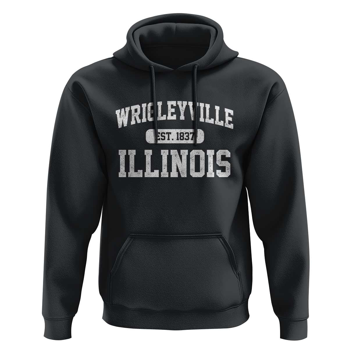 Wrigleyville Illinois Hoodie Vintage Chicago Classic Distressed Baseball Fan Gift