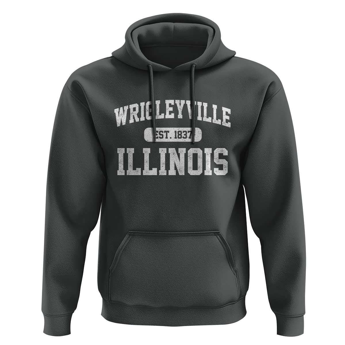 Wrigleyville Illinois Hoodie Vintage Chicago Classic Distressed Baseball Fan Gift