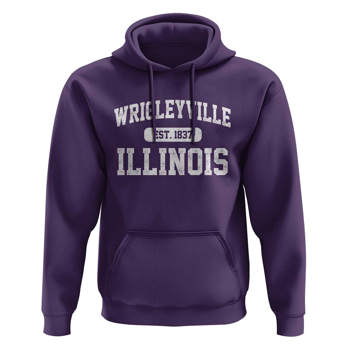 Wrigleyville Illinois Hoodie Vintage Chicago Classic Distressed Baseball Fan Gift