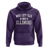 Wrigleyville Illinois Hoodie Vintage Chicago Classic Distressed Baseball Fan Gift