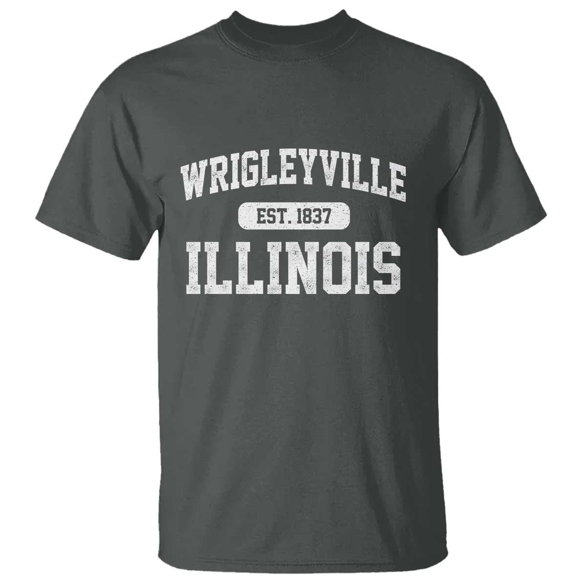 Wrigleyville Illinois T Shirt Vintage Chicago Classic Distressed Baseball Fan Gift