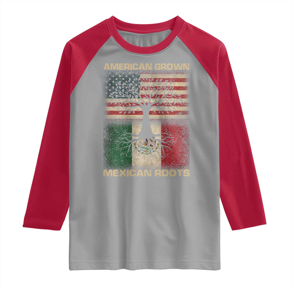 American Grown Mexican Roots Raglan Shirt Retro Mexico America Flag