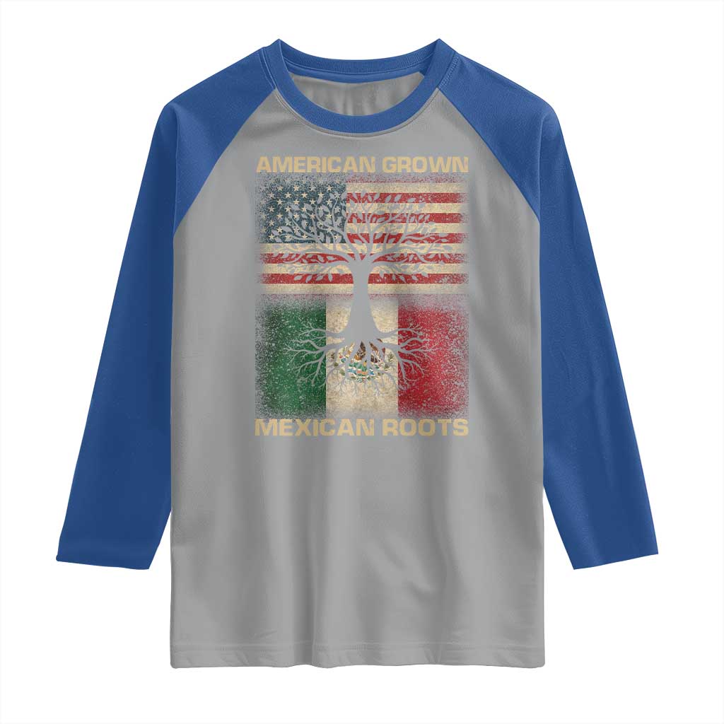 American Grown Mexican Roots Raglan Shirt Retro Mexico America Flag