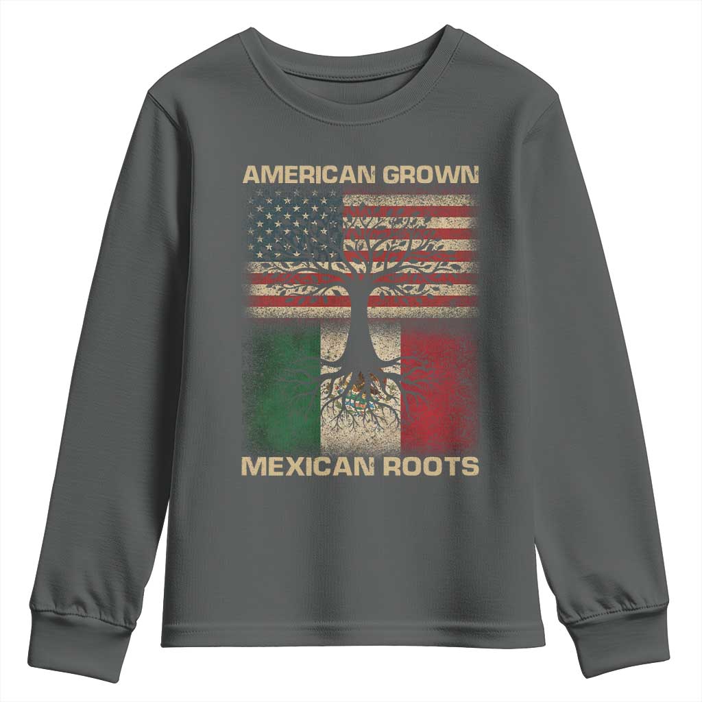 American Grown Mexican Roots Youth Sweatshirt Retro Mexico America Flag