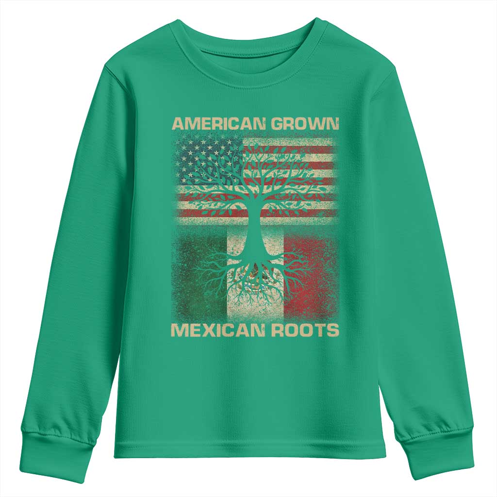 American Grown Mexican Roots Youth Sweatshirt Retro Mexico America Flag