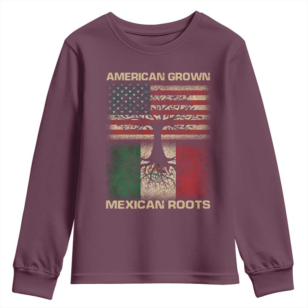 American Grown Mexican Roots Youth Sweatshirt Retro Mexico America Flag