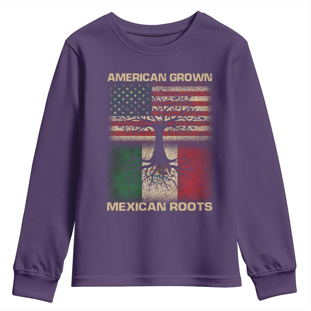 American Grown Mexican Roots Youth Sweatshirt Retro Mexico America Flag