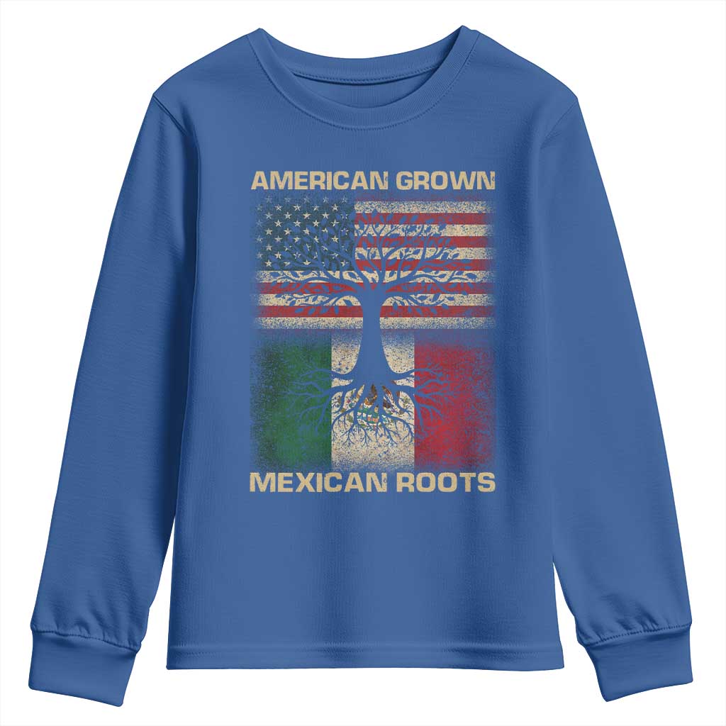 American Grown Mexican Roots Youth Sweatshirt Retro Mexico America Flag