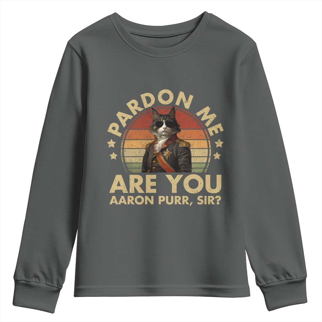 Alexander Hamilton Cat Youth Sweatshirt Funny Gifts For Fans Cat Lovers - Wonder Print Shop