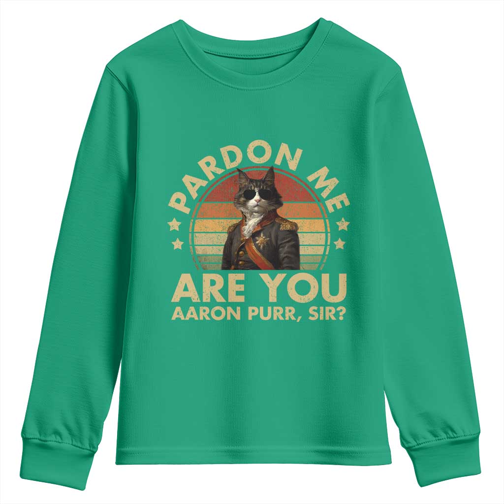 Alexander Hamilton Cat Youth Sweatshirt Funny Gifts For Fans Cat Lovers - Wonder Print Shop