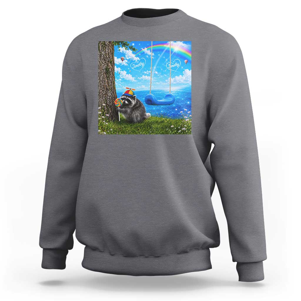 Jimothy Raccoon Dreamcore Sweatshirt Seattle Trash Panda Gen Z Humor Rainbow Aesthetic