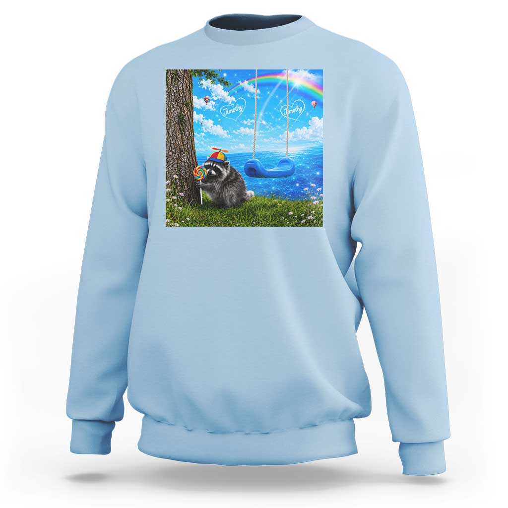 Jimothy Raccoon Dreamcore Sweatshirt Seattle Trash Panda Gen Z Humor Rainbow Aesthetic