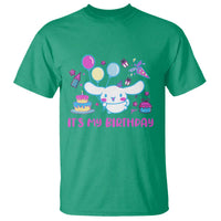 Its My Birthday T Shirt Girl Party Funny Bday Family Party