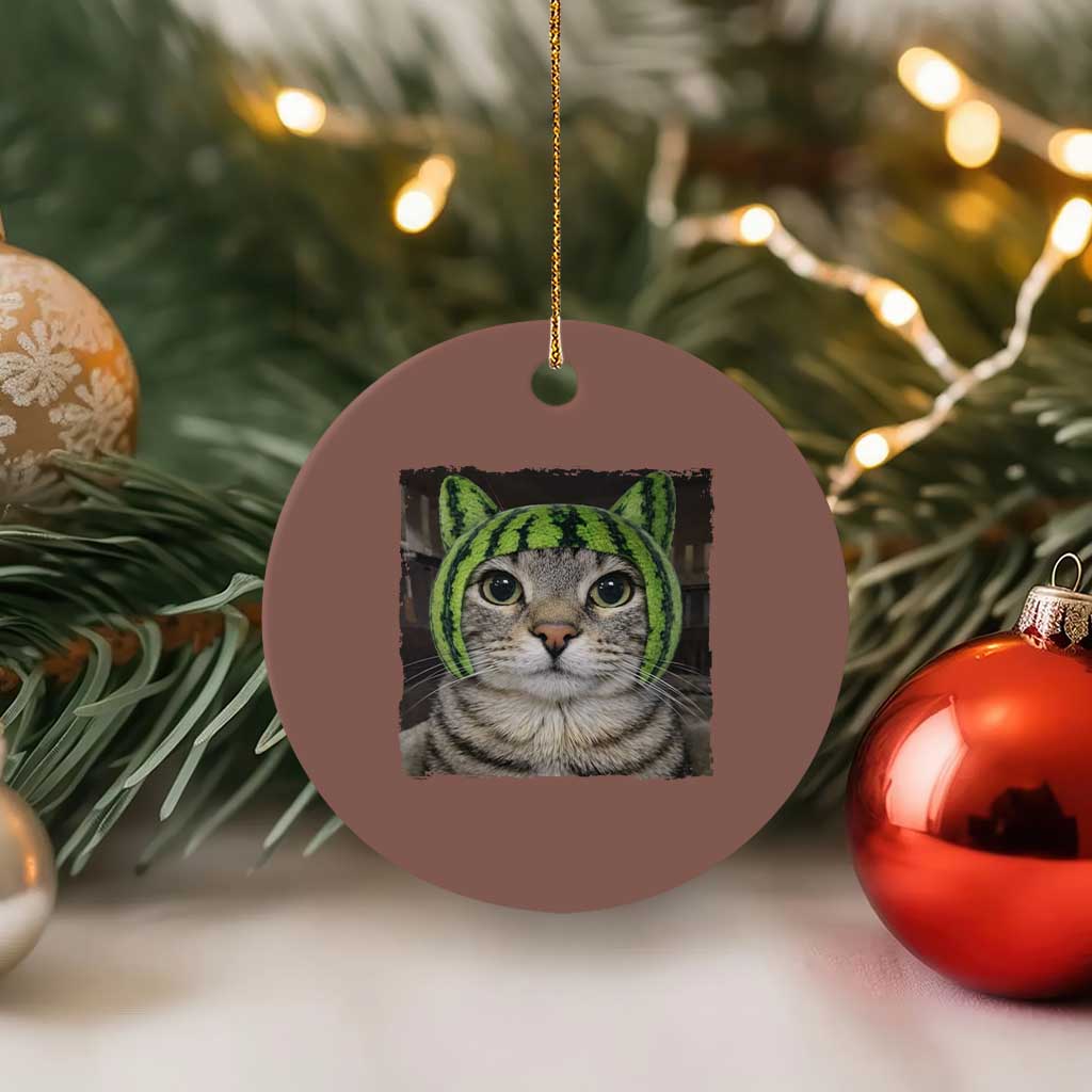 Watermelon Cat Silly Cat Meme Ceramic Ornament