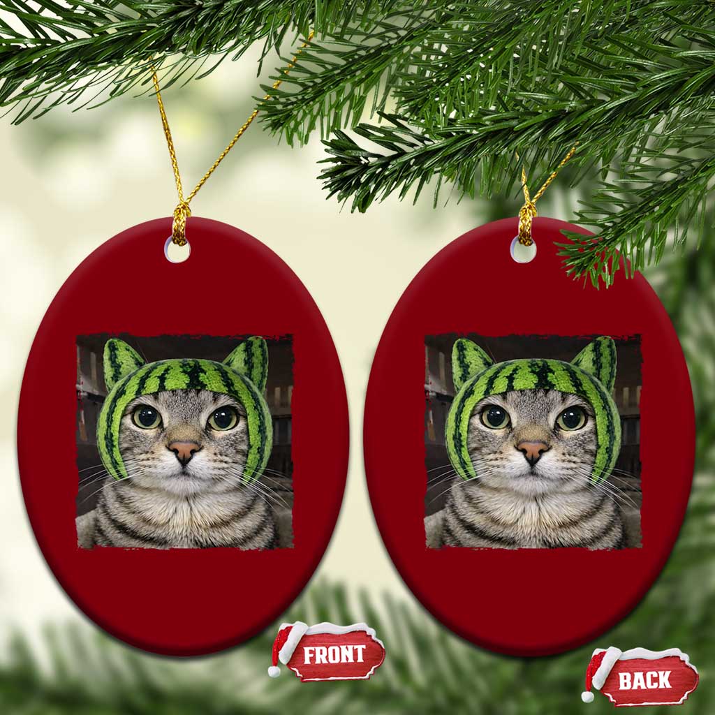 Watermelon Cat Silly Cat Meme Ceramic Ornament