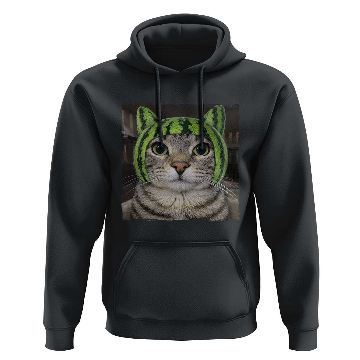Watermelon Cat Silly Cat Meme Hoodie