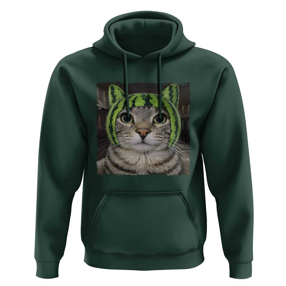 Watermelon Cat Silly Cat Meme Hoodie