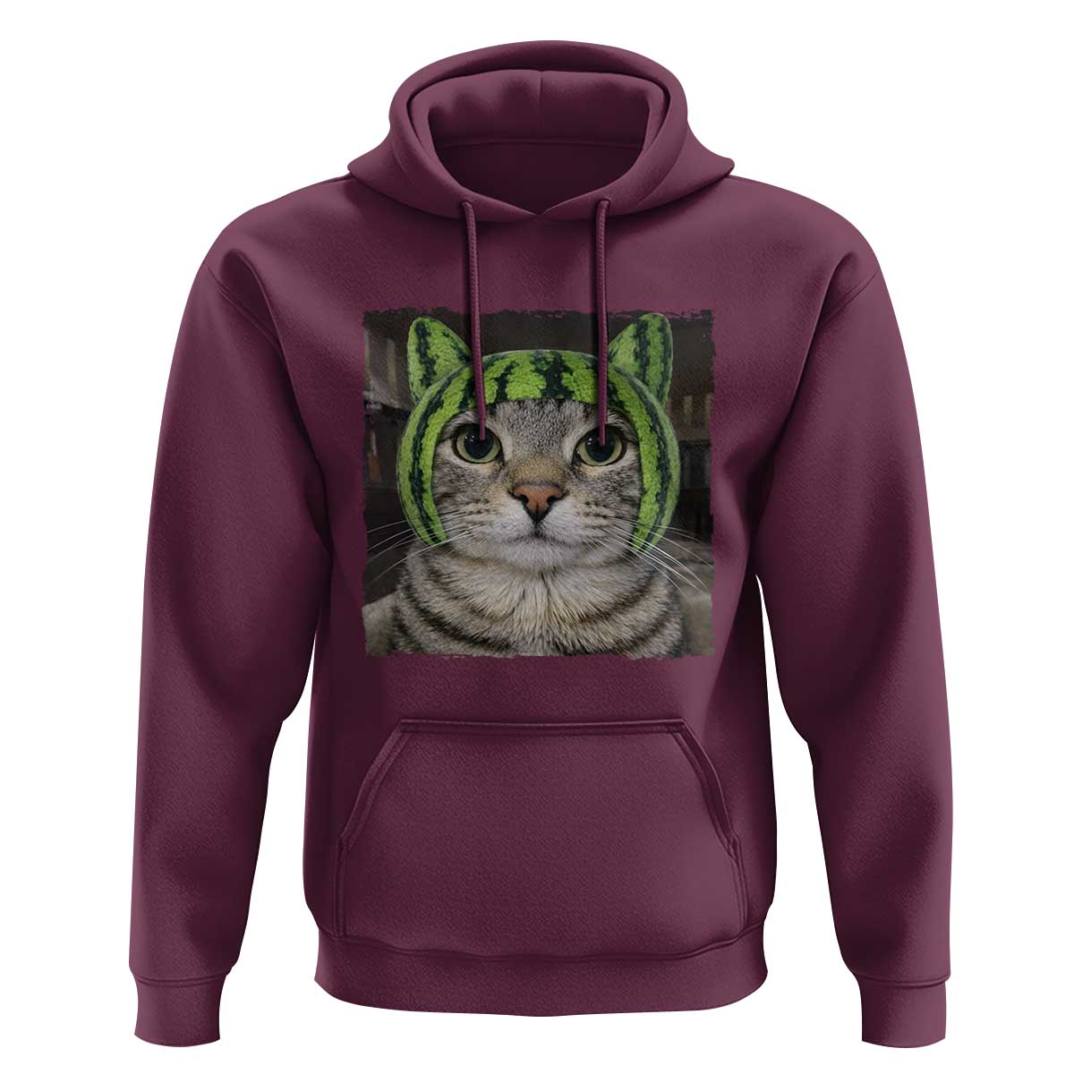 Watermelon Cat Silly Cat Meme Hoodie