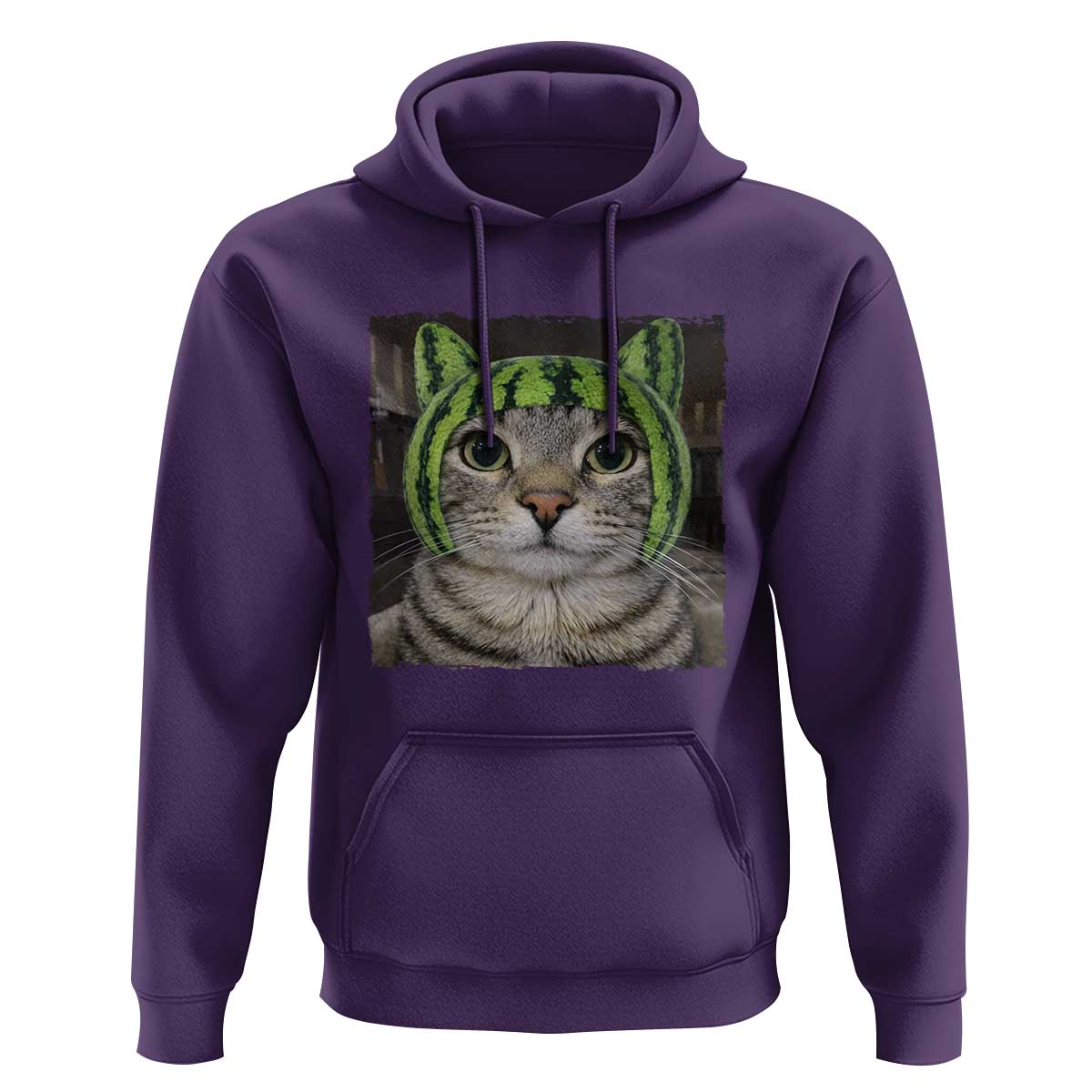 Watermelon Cat Silly Cat Meme Hoodie
