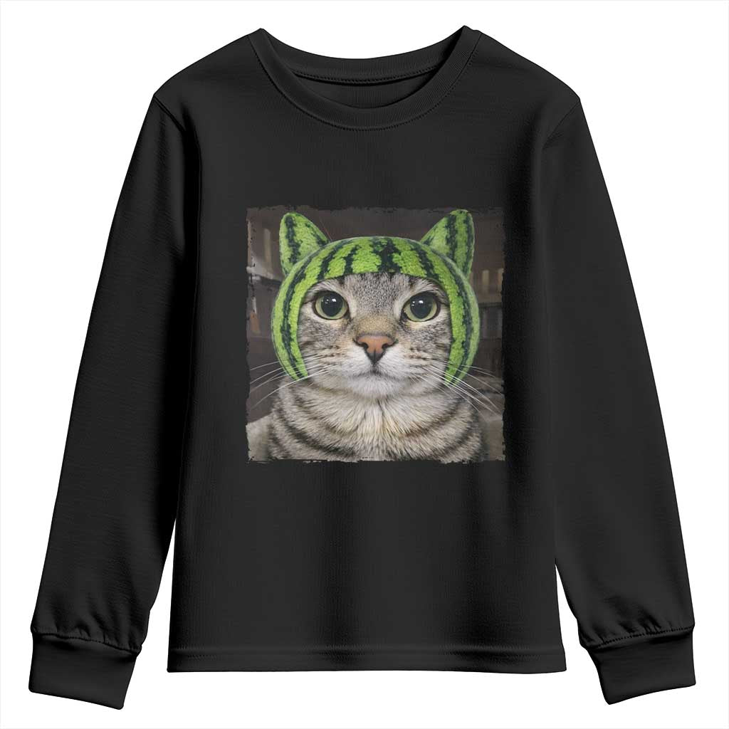 Watermelon Cat Silly Cat Meme Youth Sweatshirt