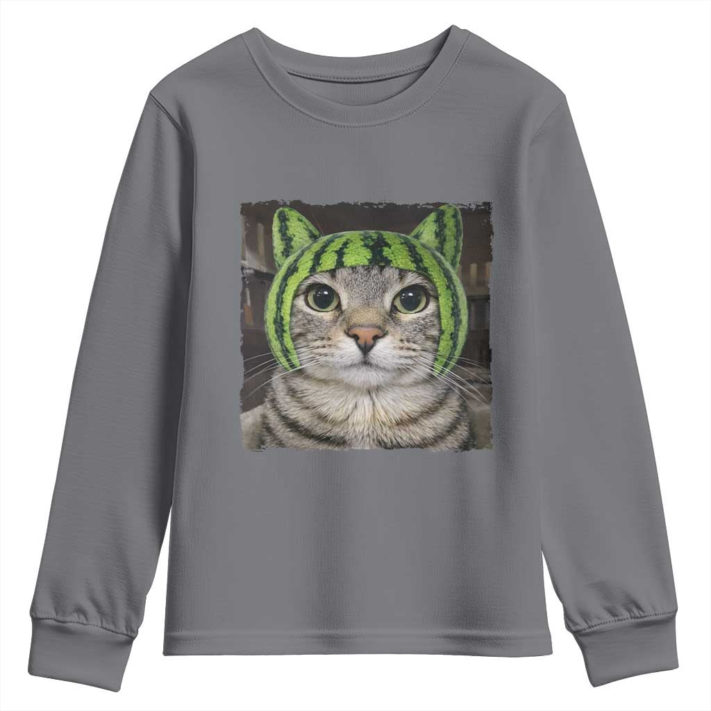 Watermelon Cat Silly Cat Meme Youth Sweatshirt