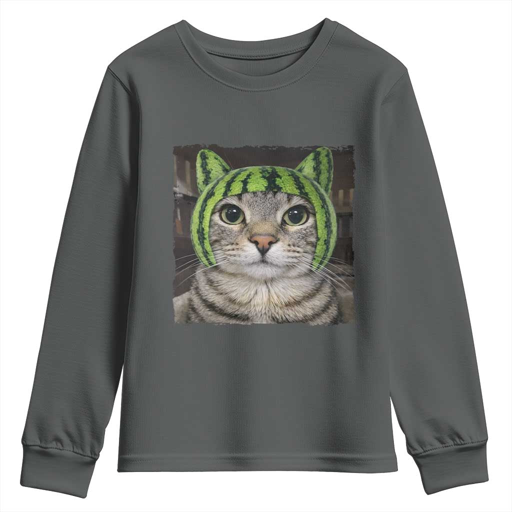 Watermelon Cat Silly Cat Meme Youth Sweatshirt