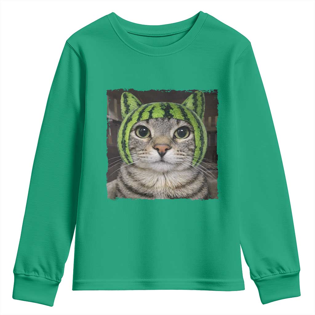 Watermelon Cat Silly Cat Meme Youth Sweatshirt