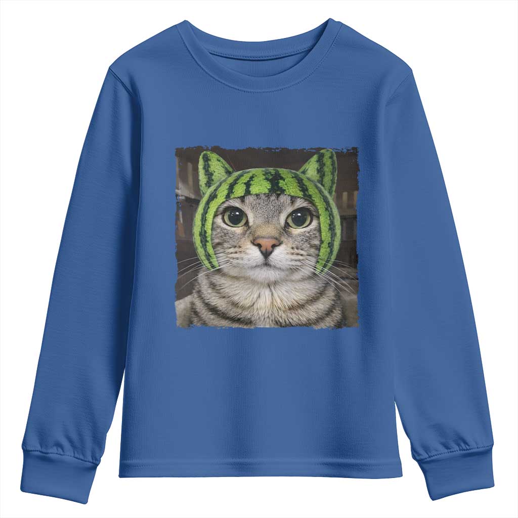 Watermelon Cat Silly Cat Meme Youth Sweatshirt