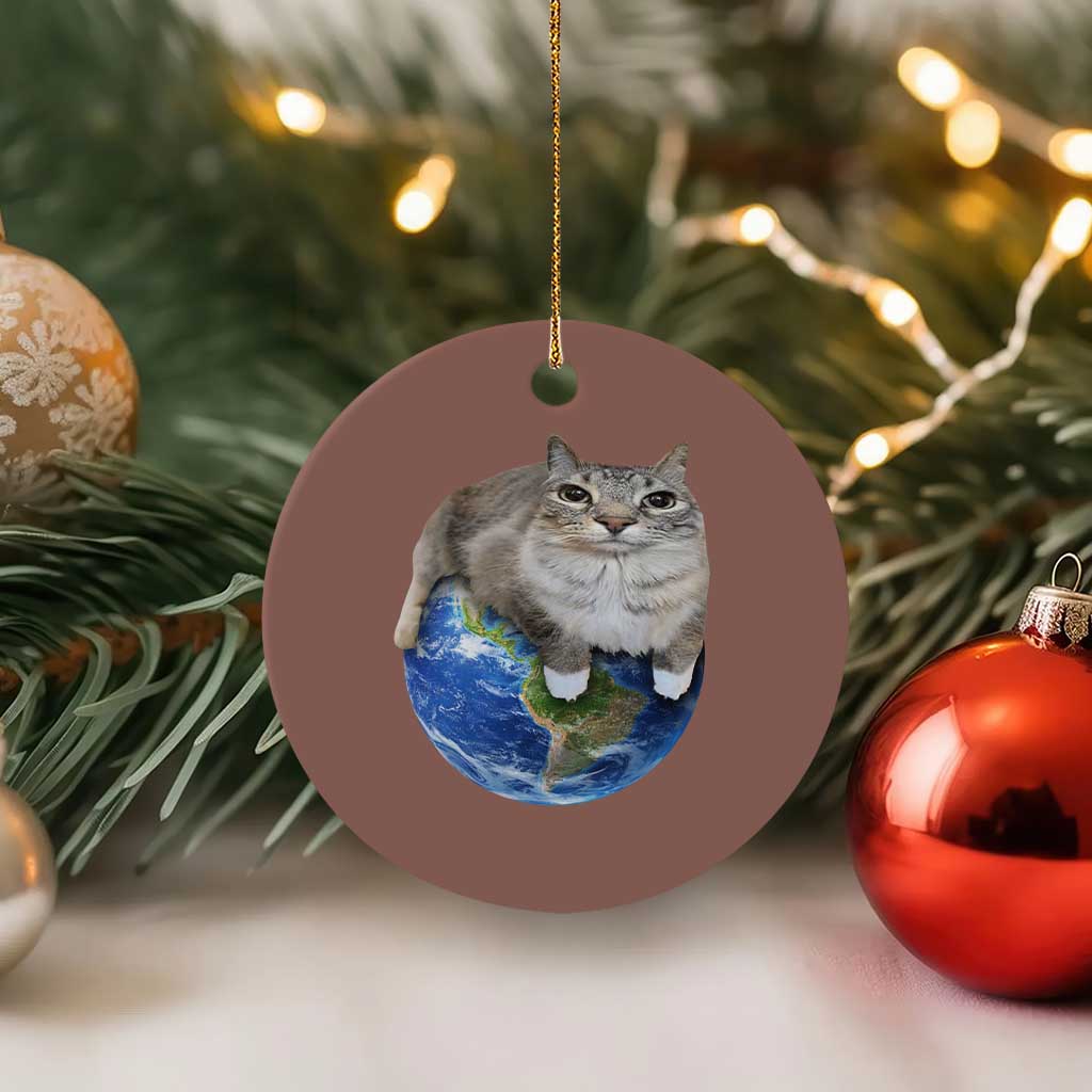 Earth Cat Silly Cat Meme Ceramic Ornament
