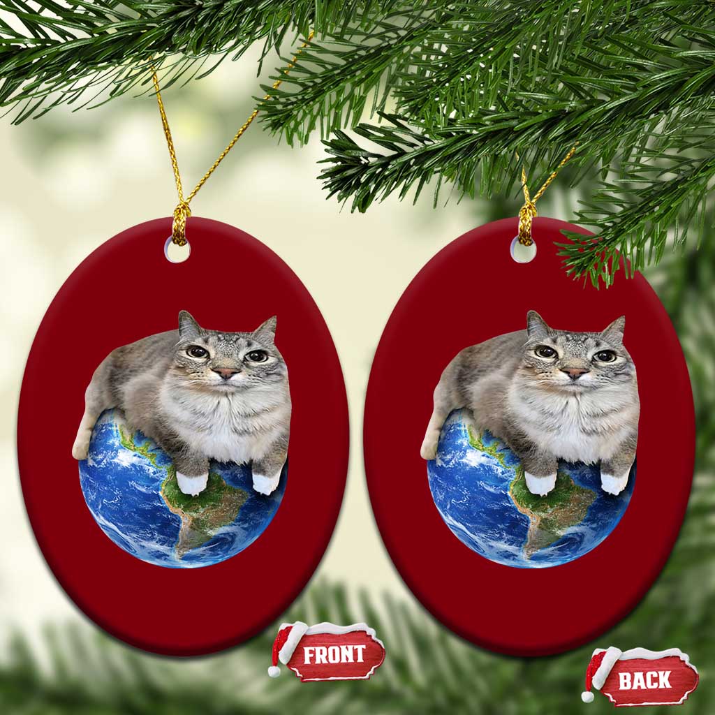 Earth Cat Silly Cat Meme Ceramic Ornament