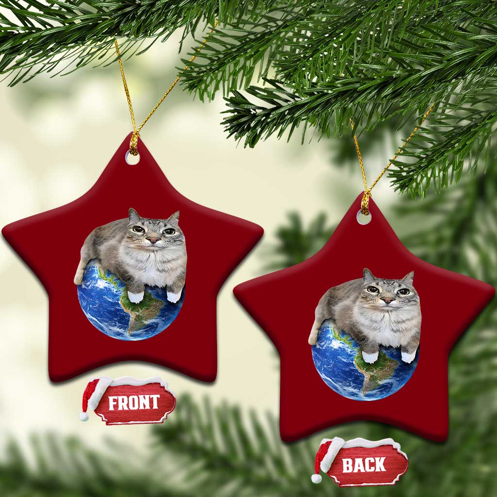 Earth Cat Silly Cat Meme Ceramic Ornament
