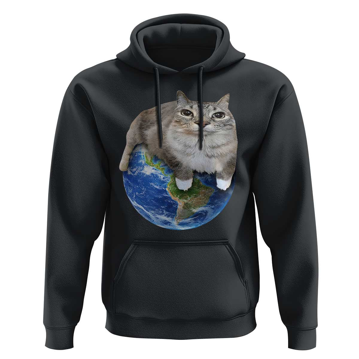 Earth Cat Silly Cat Meme Hoodie