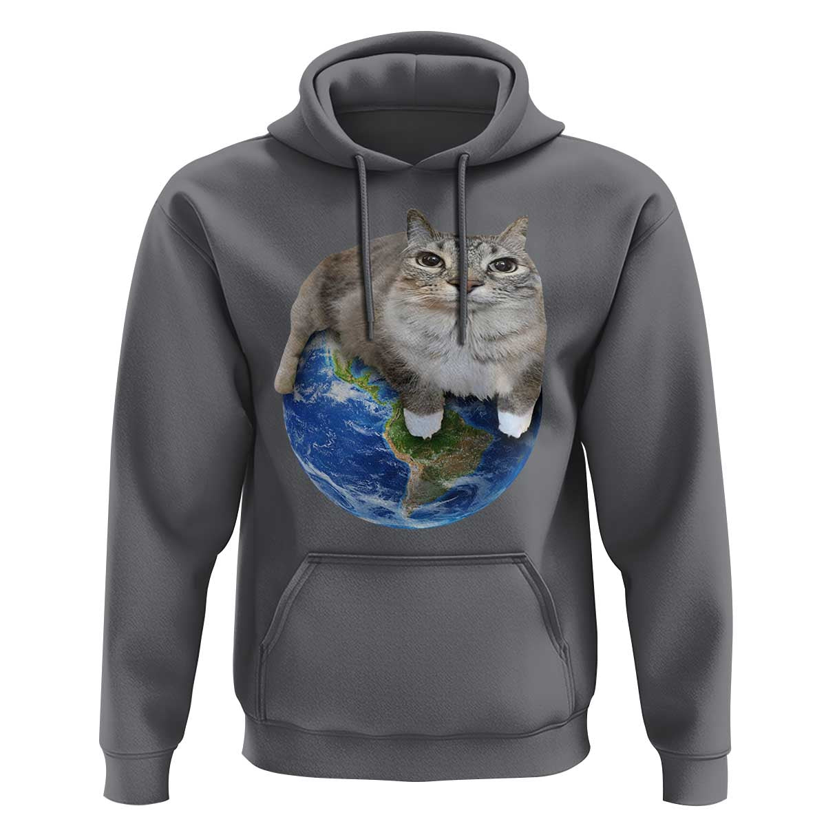 Earth Cat Silly Cat Meme Hoodie