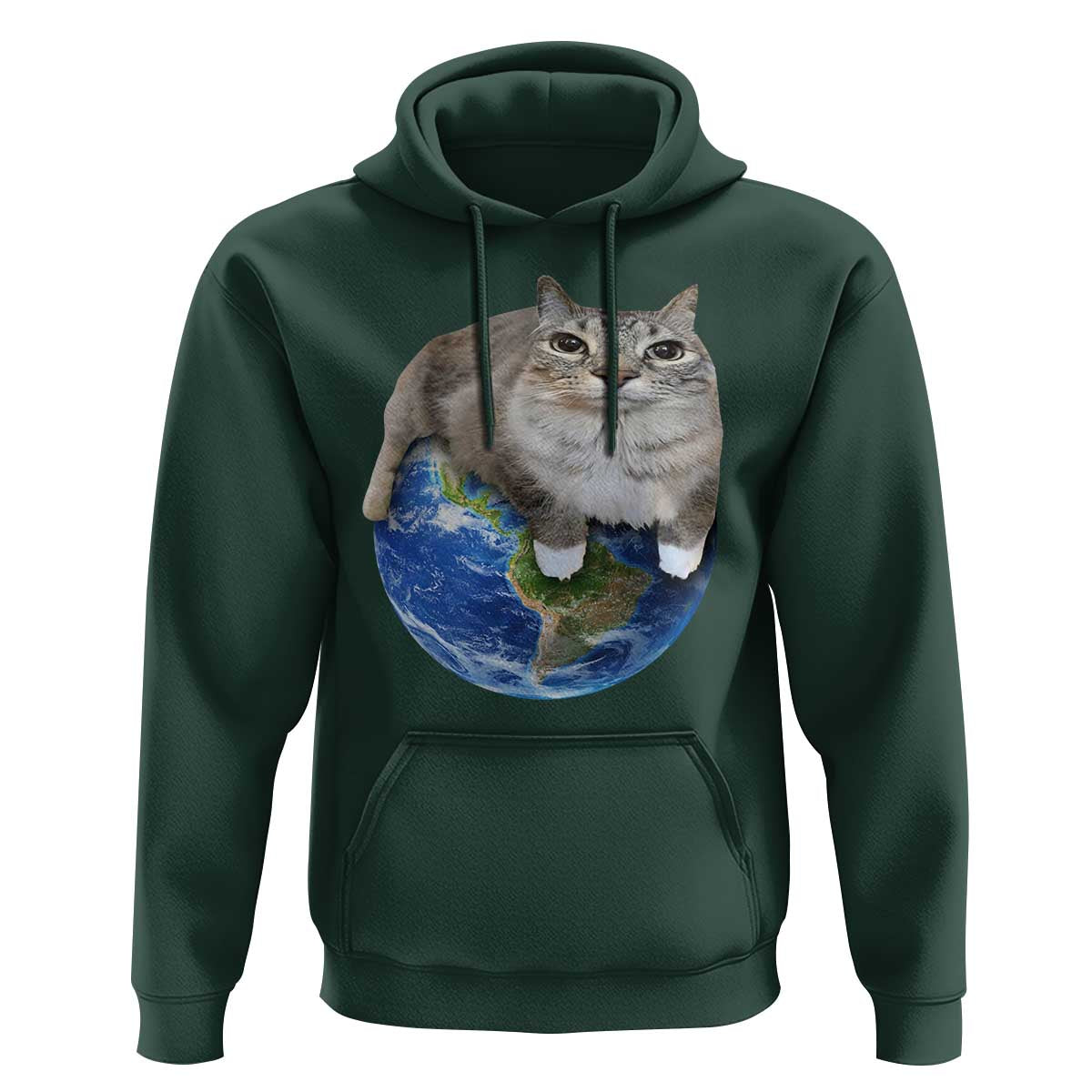 Earth Cat Silly Cat Meme Hoodie