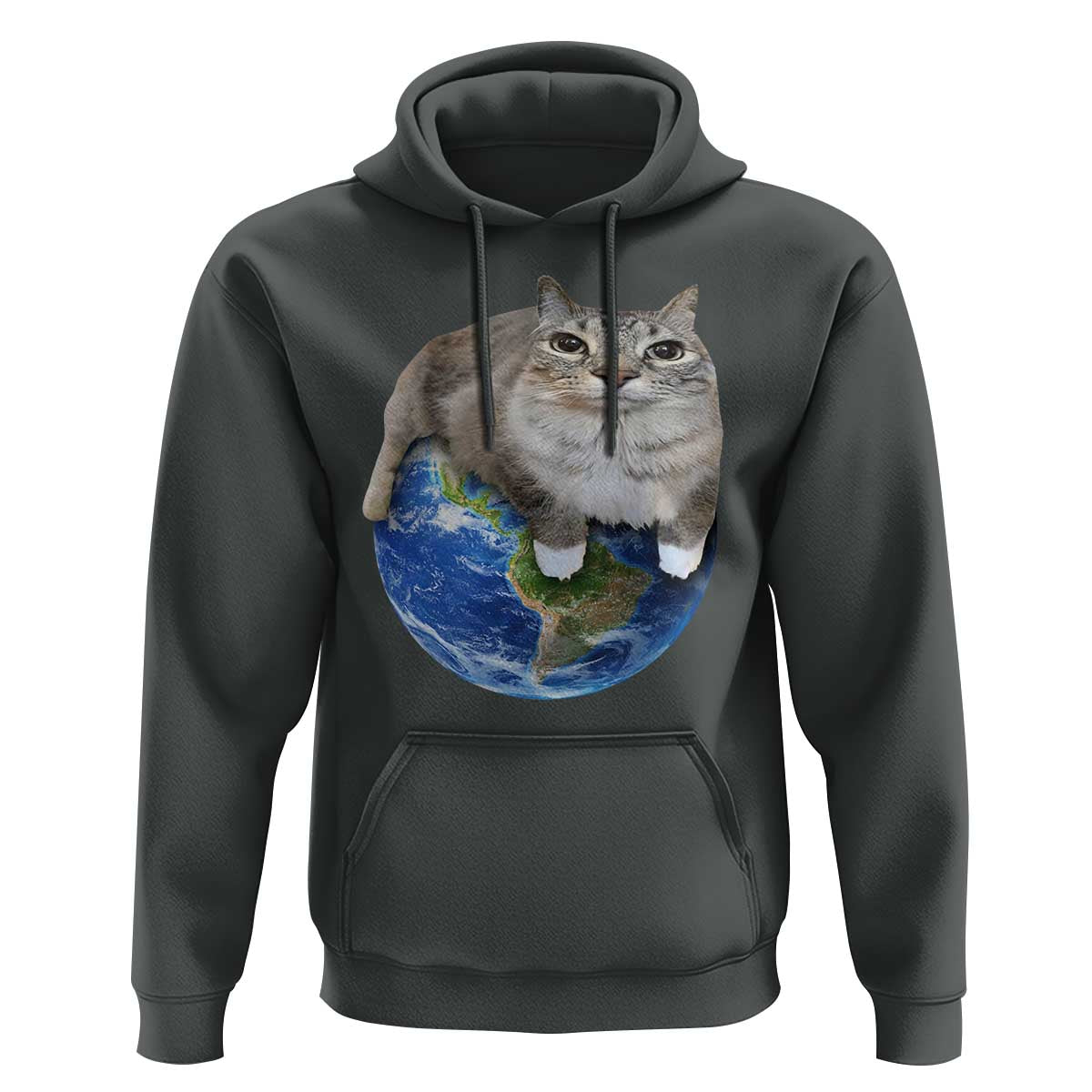 Earth Cat Silly Cat Meme Hoodie