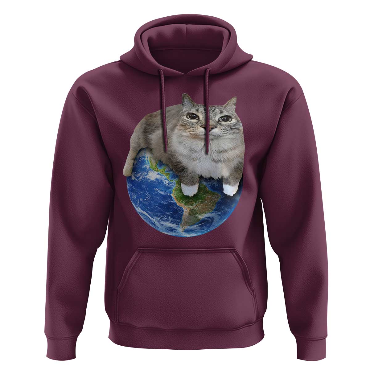 Earth Cat Silly Cat Meme Hoodie