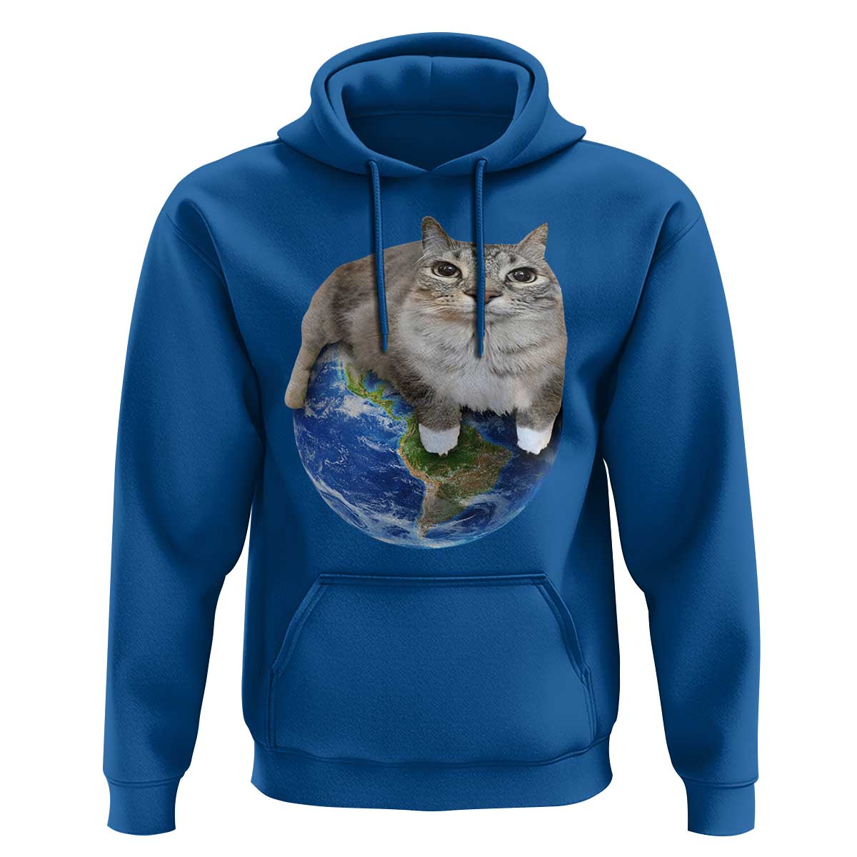 Earth Cat Silly Cat Meme Hoodie