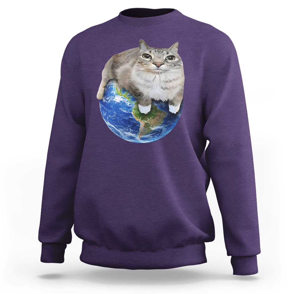Earth Cat Silly Cat Meme Sweatshirt