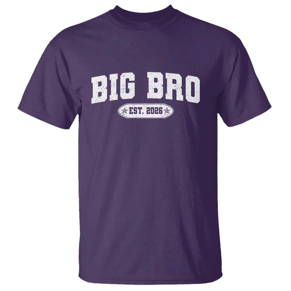 Big Bro Est 2026 T Shirt Promoted To Brother Sibling Reveal