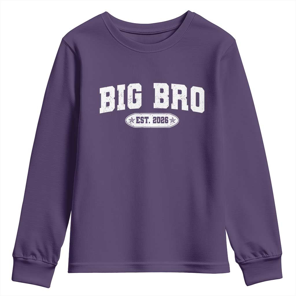 Big Bro Est 2026 Youth Sweatshirt Promoted To Brother Sibling Reveal