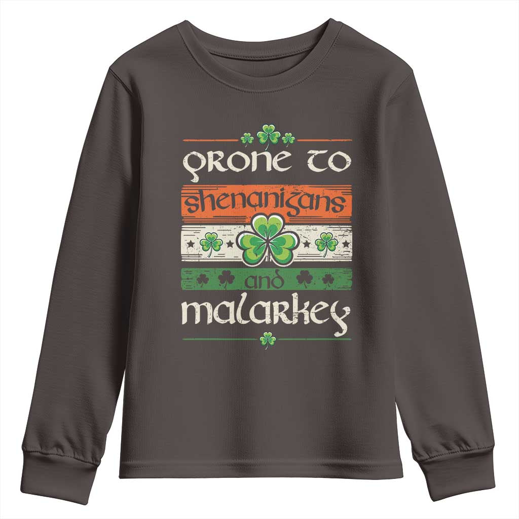 St. Patrick's Day Prone to Shenanigans and Malarkey Youth Sweatshirt Funny St Patrick's Day Lucky Shamrock Irish