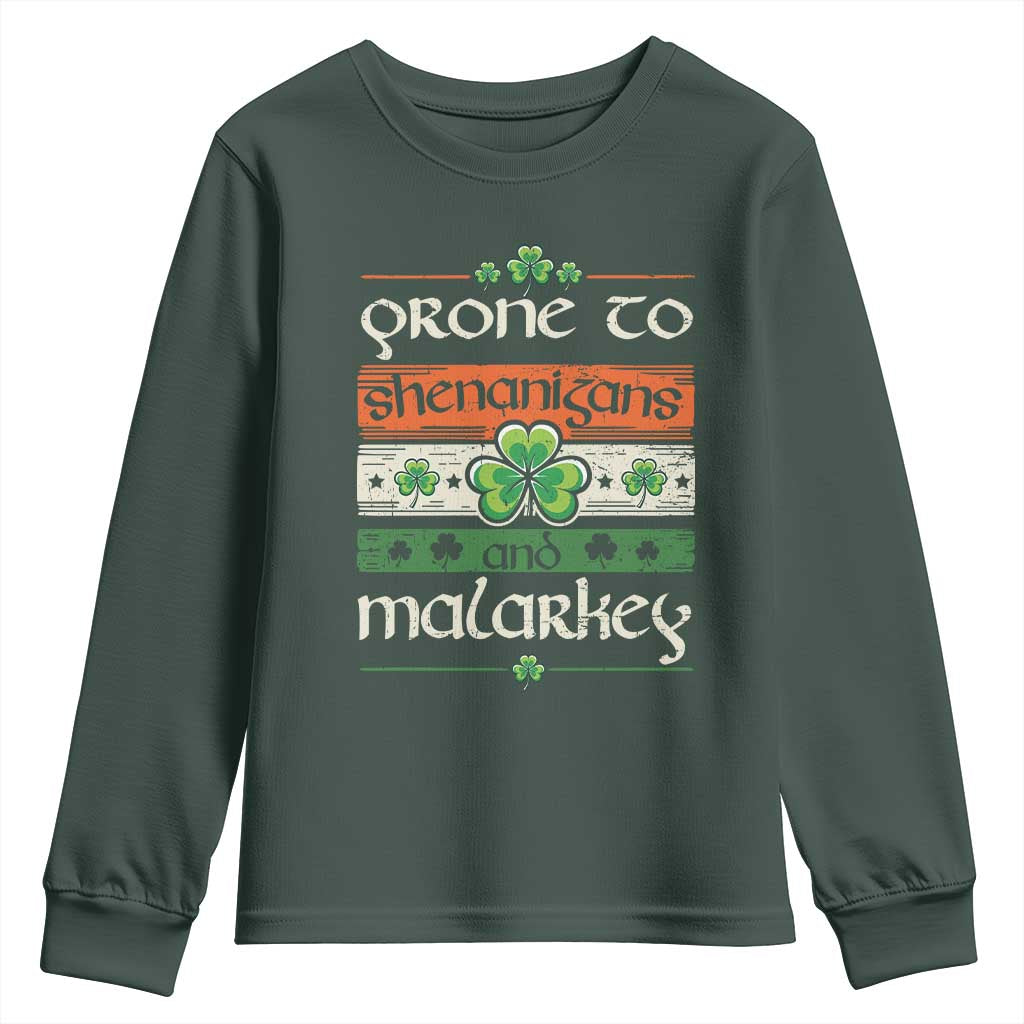 St. Patrick's Day Prone to Shenanigans and Malarkey Youth Sweatshirt Funny St Patrick's Day Lucky Shamrock Irish